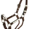 Royal King Silver Bar Mini Show Halter