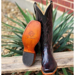 Ladies Fenoglio Black Cherry Smooth Ostrich -Western Cowboy Equipment Shop 20230323 134539