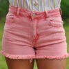 Ash Pink Cut Offs -Western Cowboy Equipment Shop 20230419 131237