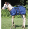 Weaver Leather Weaver Blue Foal Blanket -Western Cowboy Equipment Shop 35 1509 bl fixed