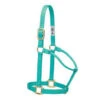 Weaver Leather Mint 1" Small Non Adjustable Halter -Western Cowboy Equipment Shop 35 7004 mt