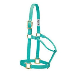 Weaver Leather Mint 1" Small Non Adjustable Halter