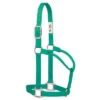 Weaver Leather Medium Emerald Nylon Halter -Western Cowboy Equipment Shop 35 7385 EG