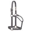 Weaver Leather Medium Graphite Nylon Halter 1 Weaver Leather Medium Graphite Nylon Halter -Western Cowboy Equipment Shop 35 7385 GH