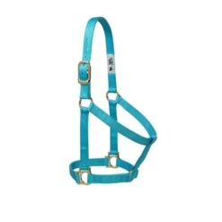 Weaver Leather Weaver Halter 1" Average Turquoise