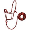 Weaver Leather Weaver Black And Red Rope Halter With Lead 2 Weaver Leather Weaver Black And Red Rope Halter With Lead -Western Cowboy Equipment Shop 61511 xxx 0126258 l