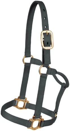 Mustang Traditional Nylon Halter - Colt - Black
