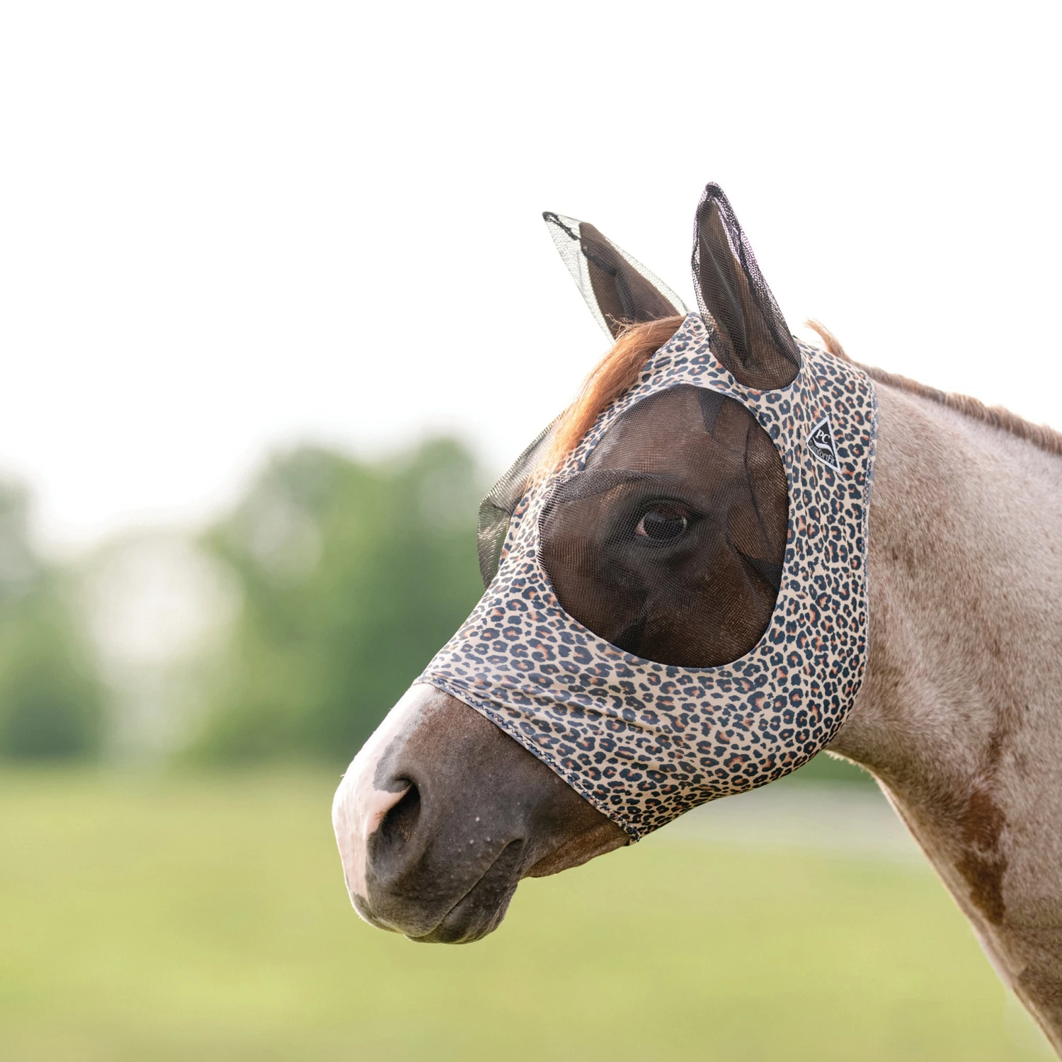 Professional's Choice Cheetah Pony Comfort Fly Mask 3 Professional's Choice Cheetah Pony Comfort Fly Mask