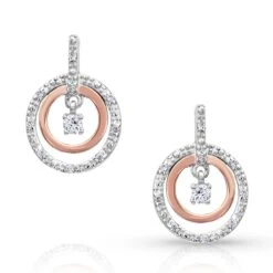 Montana Silversmiths Montana Silver Haloed Star Earrings