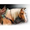 Professional's Choice Single Rein German Martingale -Western Cowboy Equipment Shop RH GM1