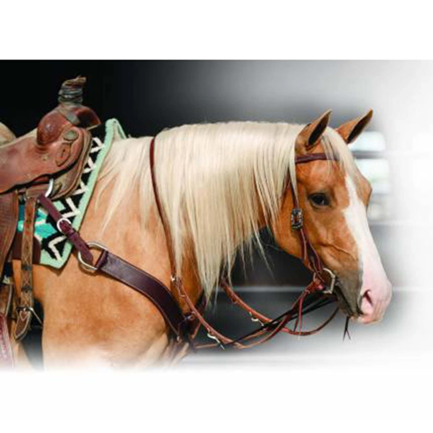 Professional's Choice Single Rein German Martingale 3 Professional's Choice Single Rein German Martingale