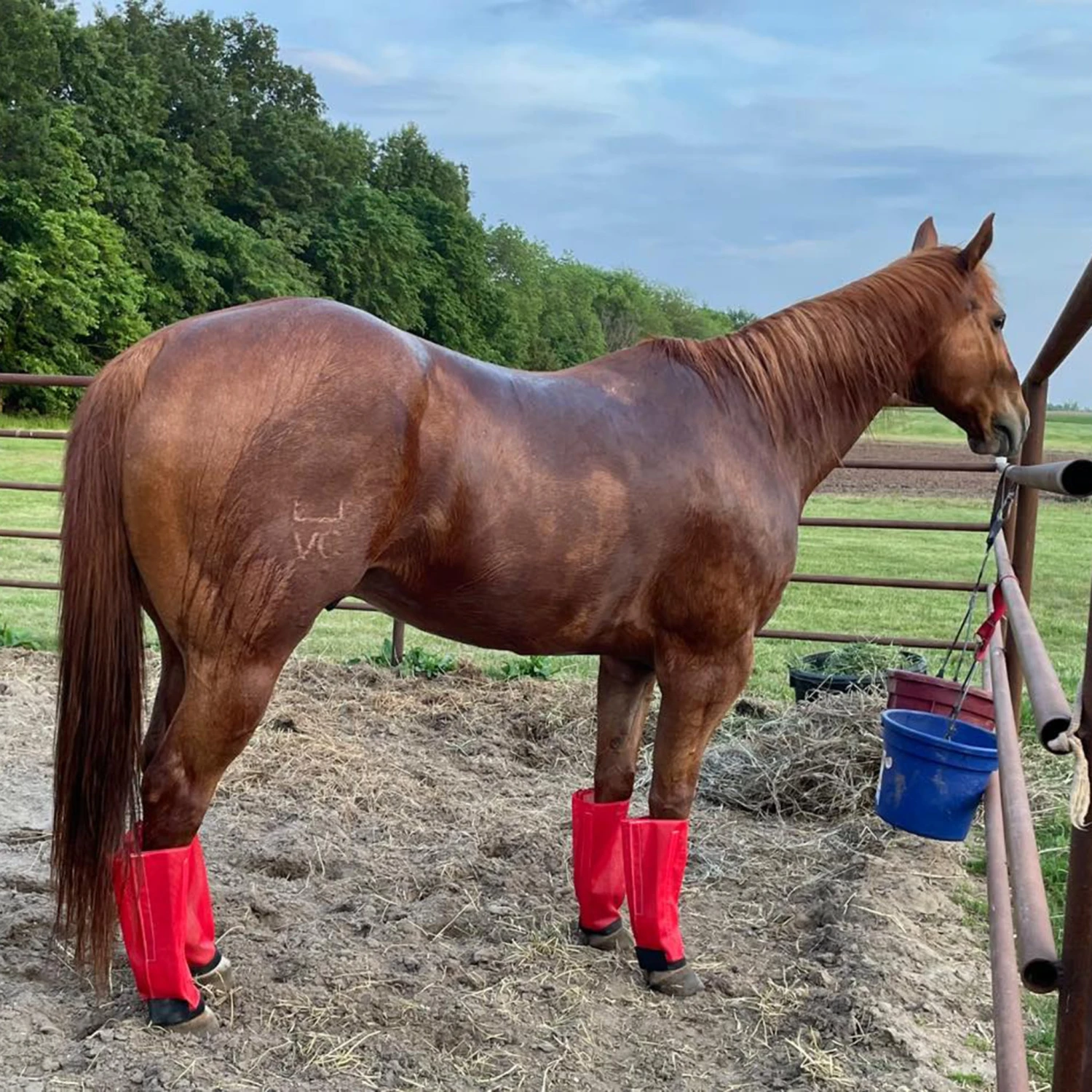 Fly Free Insect Protection Boots - RED 4 Fly Free Insect Protection Boots - RED - Image 2