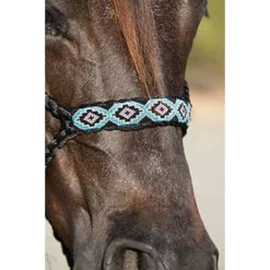 Professional's Choice Professional Choice- Black Braided Halter With Blue Beaded Nose Band