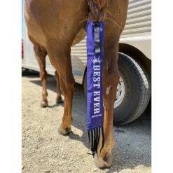 Best Ever Tail Bag Indigo